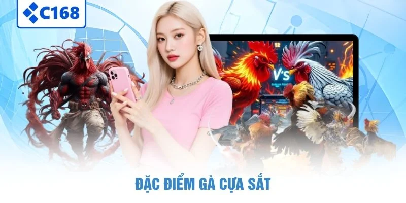 Gà Đá Cựa Sắt - Bộ Môn Chọi Gà Hoàn Hảo Dành Cho Kê Thủ 3 Đặc điểm gà cựa sắt