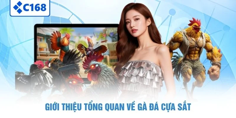 Gà Đá Cựa Sắt - Bộ Môn Chọi Gà Hoàn Hảo Dành Cho Kê Thủ 2 Giới thiệu tổng quan về gà đá cựa sắt