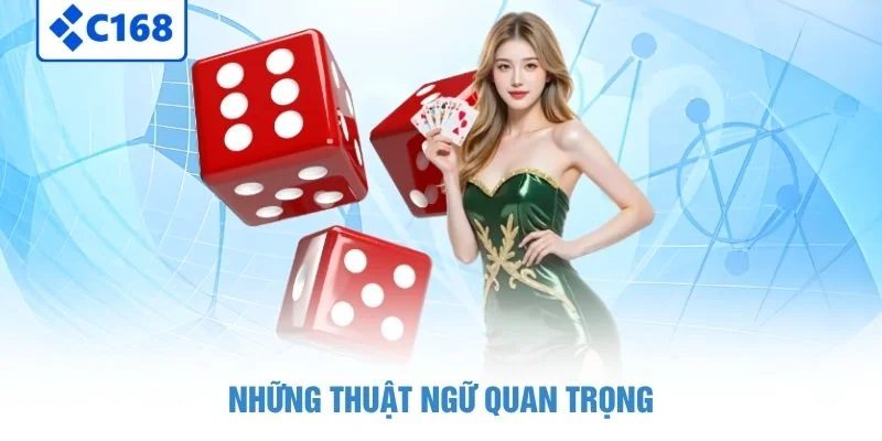 Tài Xỉu Sicbo - Nghệ Thuật Dự Đoán Xúc Xắc Đầy Kịch Tính Tại C168 4 Những thuật ngữ quan trọng