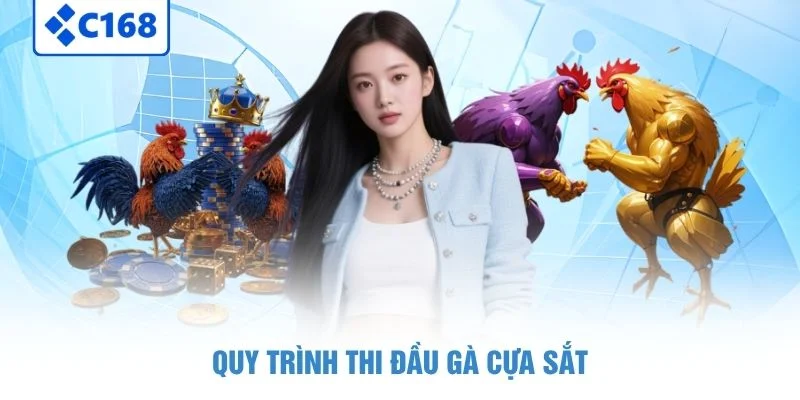 Gà Đá Cựa Sắt - Bộ Môn Chọi Gà Hoàn Hảo Dành Cho Kê Thủ 4 Quy trình thi đầu gà cựa sắt